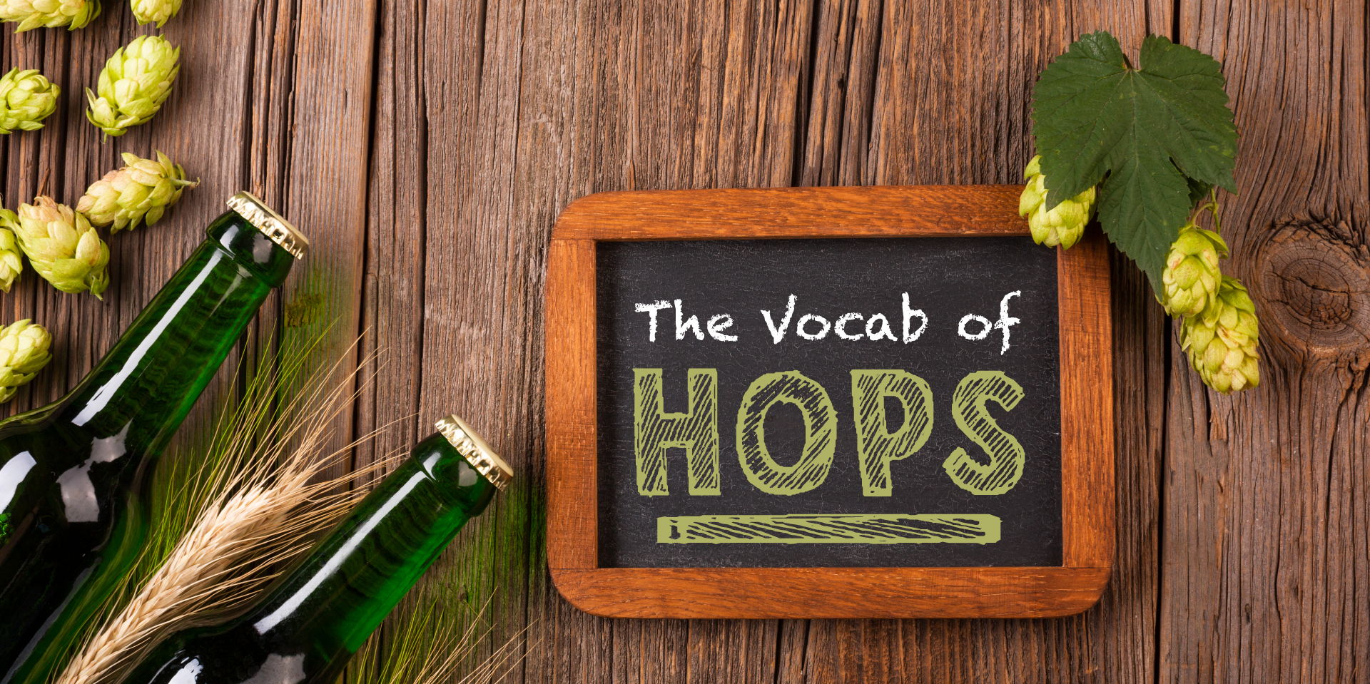 Talk Like a Brewer: The Vocabulary of Hops promotional image