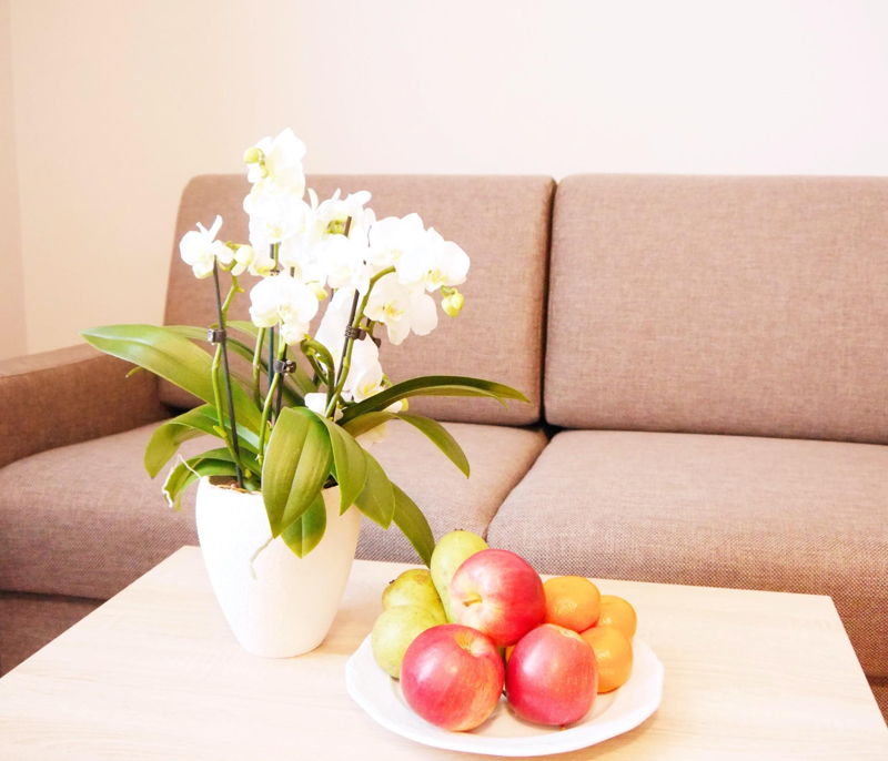 Zimmer Comfort