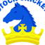 Plymstock Cricket Club logo
