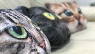 big ticket image ea cropped