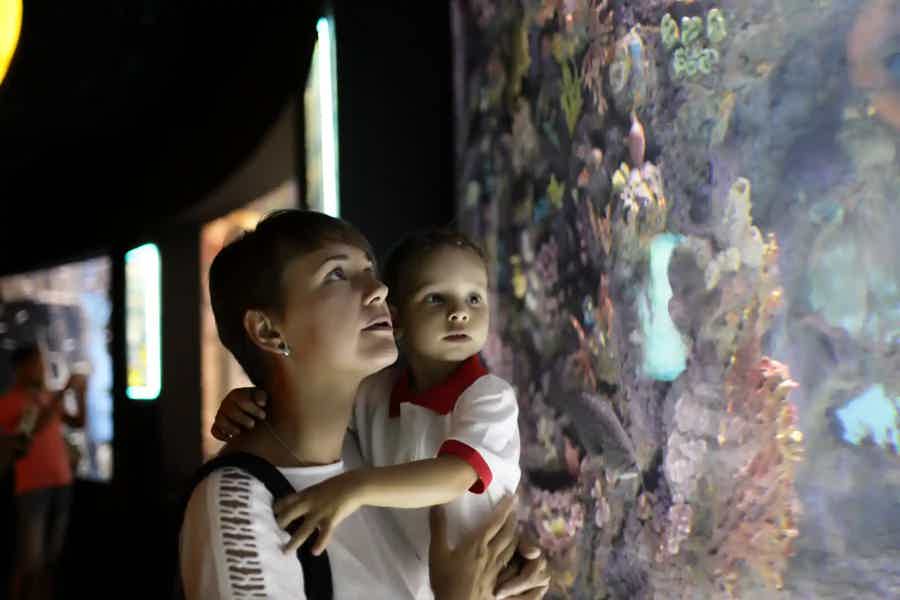 Antalya Aquarium - photo 2