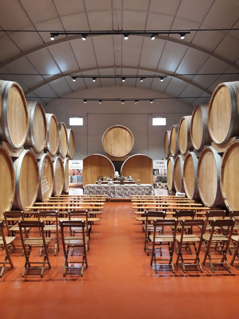 Tour enogastronomici Marsala: Marsala: Degustazione di 7 vini con prodotti locali