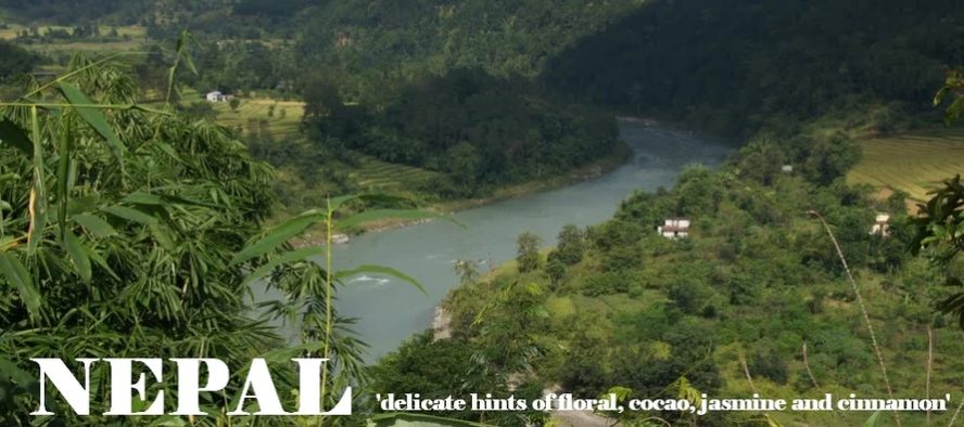 Coffee Plus HFO - Voucher - Image 9