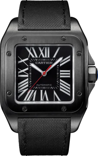 Santos 100 41.3 Carbon