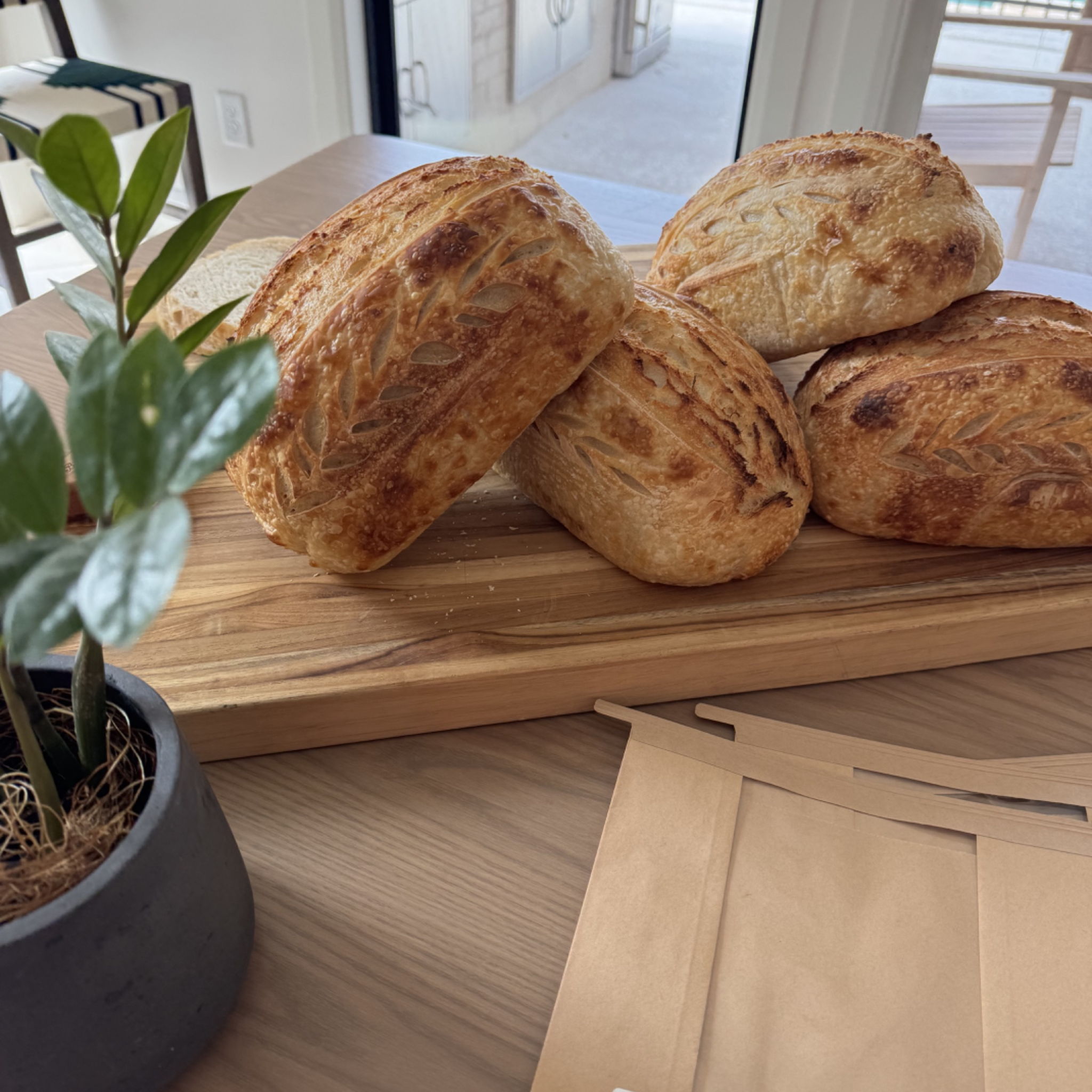 Eliana Hennessey • Organic Sourdough Microbakery — photo from hotplate.com