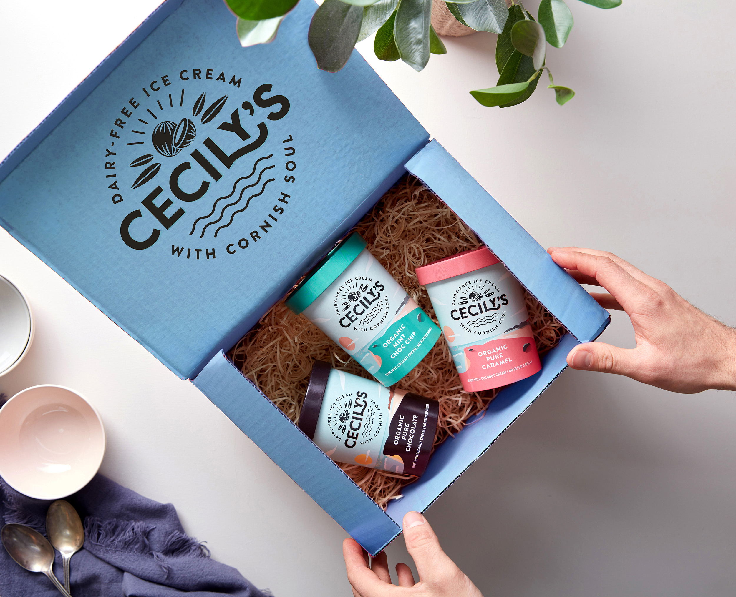 The Space Creative Transforms Dairy Free Ice Cream Brand Cecily S Dieline Hostulum Best Cloud Hosting Provider