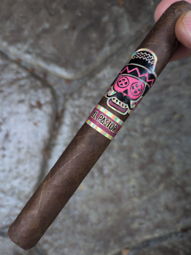 Cigar Session Photo