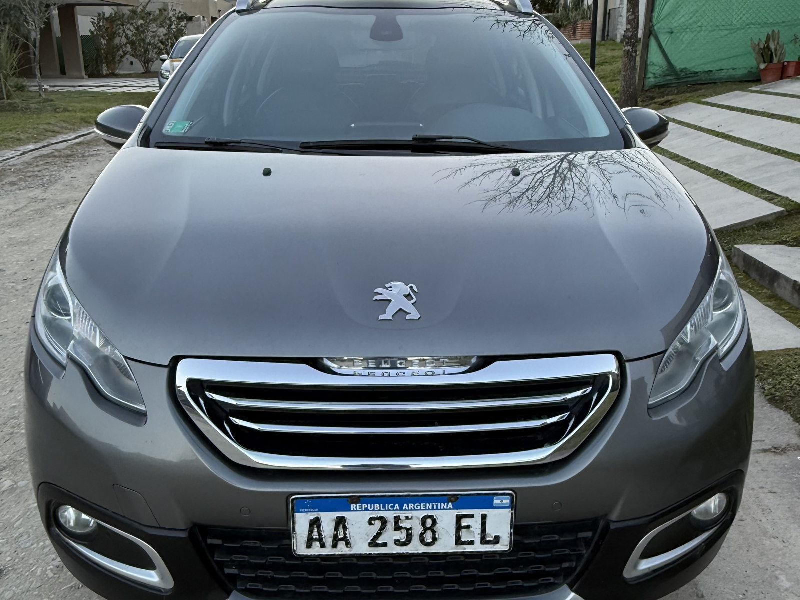 Main Image