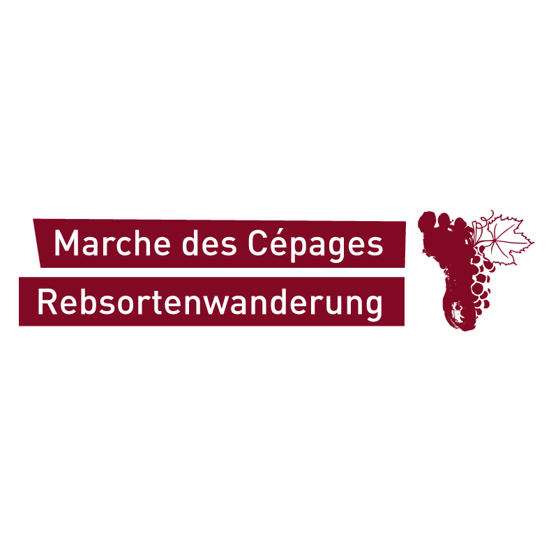 Marche des cépages