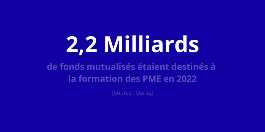 Le budget formation dédié au PME est colossal. Sur cette image, la somme des fonds mutualisés dédiée à la formation professionnelle des PME est représenté en gros. Il s'agissait de 2 milliards d'euros en 2022. 