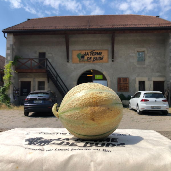 melon-bio