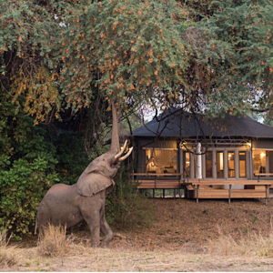 Honeymoon Lodging - Zimbabwe - 3 nights