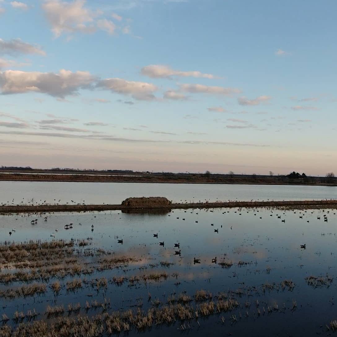 Arkansas County Guide Service Book Your Trip Mallard Bay