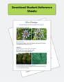 student workbook download for 3DuxDesign lesson plan