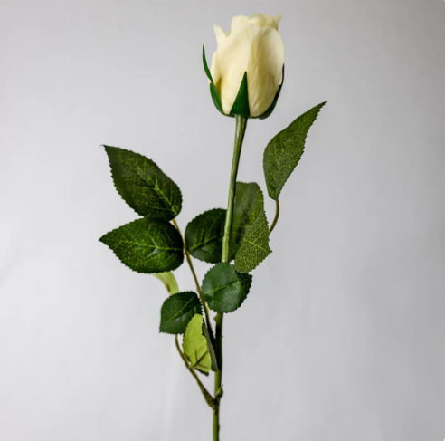 Cream Real Touch Rose Open Bud - Realistic Artificial Flowers - Image 2