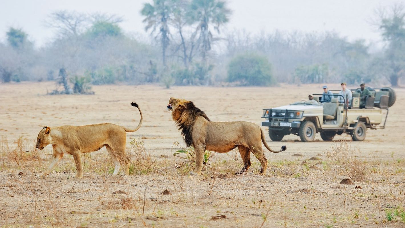 4 Days the Best of Lower Zambezi Safari