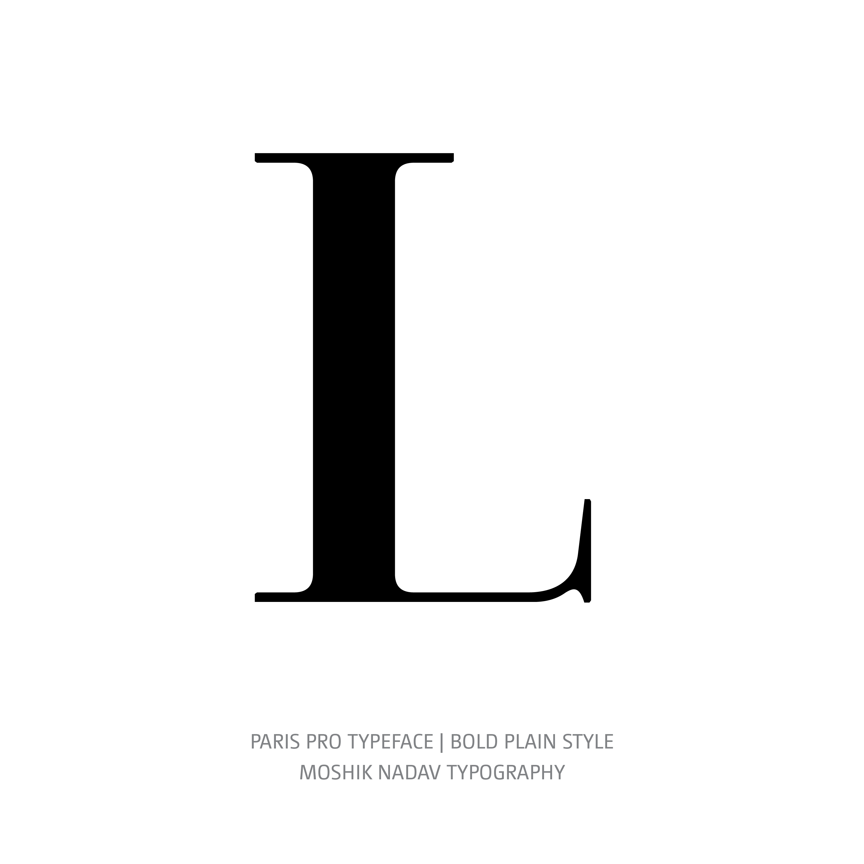 Paris Pro Typeface Bold Plain L