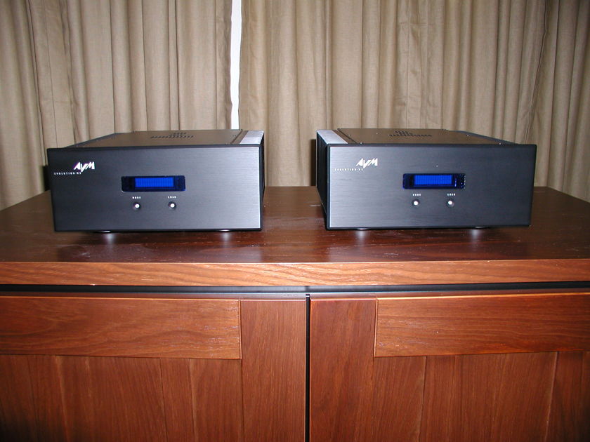 AVM Audio  Evolution M5 mono-bloc's...  Compact and powerful !
