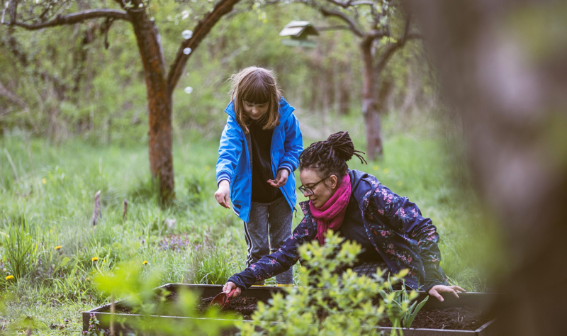 Nature-Assisted Play Therapy: When the Forest Becomes the Playroom (VIRTUAL)