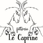 Image Profile