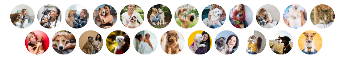 purchase - purchase - flea collars - dog flea - kills adult ticks - water resistant - flea collars work-