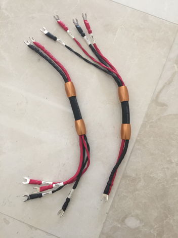 Cable pair, 0.5 meters