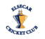Elsecar cricket club logo
