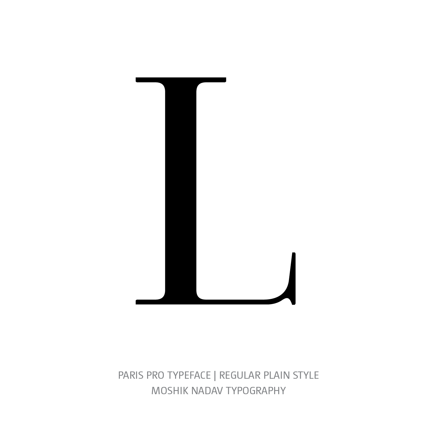 Paris Pro Typeface Regular Plain L