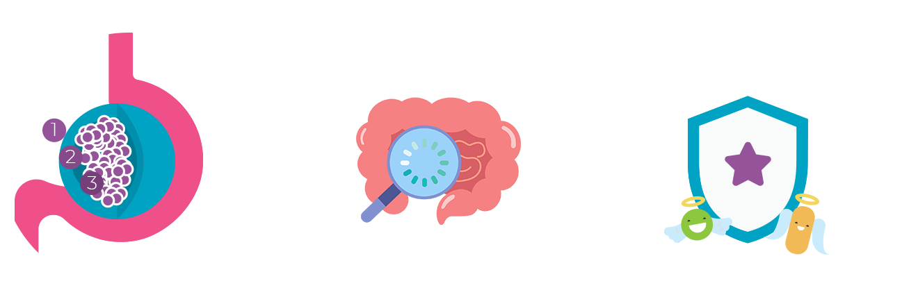 The liver showing why the best turmeric supplement singapore is best taken with curcuma