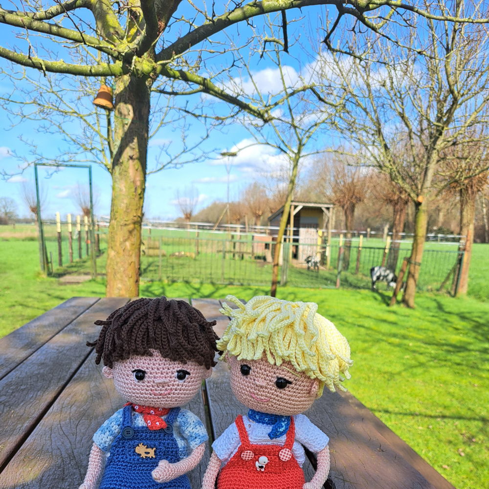 Boertje Tom en Tommie