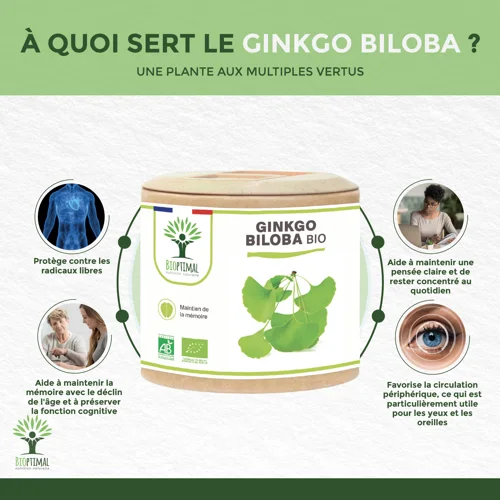 Ginkgo Biloba bio - 2 x 60