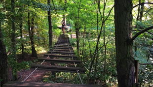 treetree lange brücke
