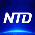 The NTD logo - a blue background with the letters in white.