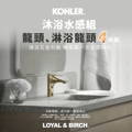 台南衛浴-龍業百起KOHLER衛浴：adair單體馬桶+電腦馬桶蓋組合