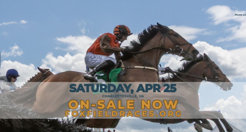 Foxfield Spring Races