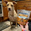 Image of a real pet parent who endorses Glandex products.