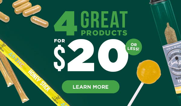 Discover more! 4 Great Products for 20 Dollars or Less