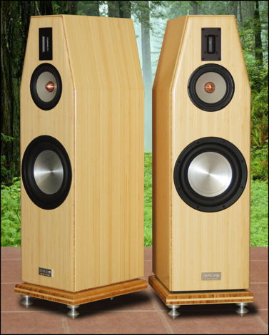 Salk HT-3 speakers