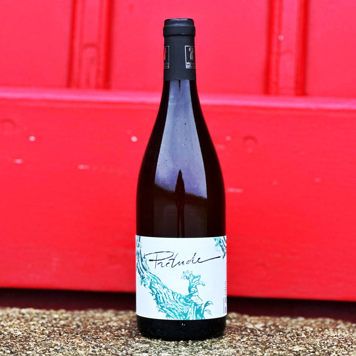 vin, roussillon, le mas de la lune, vanessa coutray, matthieu coutray, France, vin nature, rawwine, organic wine, vin bio, vin sans intrants, vin sans souffre, vin sans sulfites ajoutés, vin rouge, vin blanc, rouge, blanc, vin propre, vigneron, domaine bio, biodynamie, vigneron nature, vin biodynamique, raizin brut, Quimper, Finistère, Morbihan 