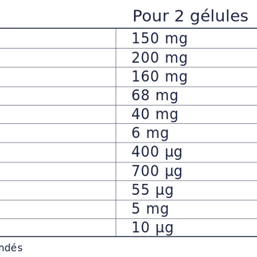 Cure Perte de Poids