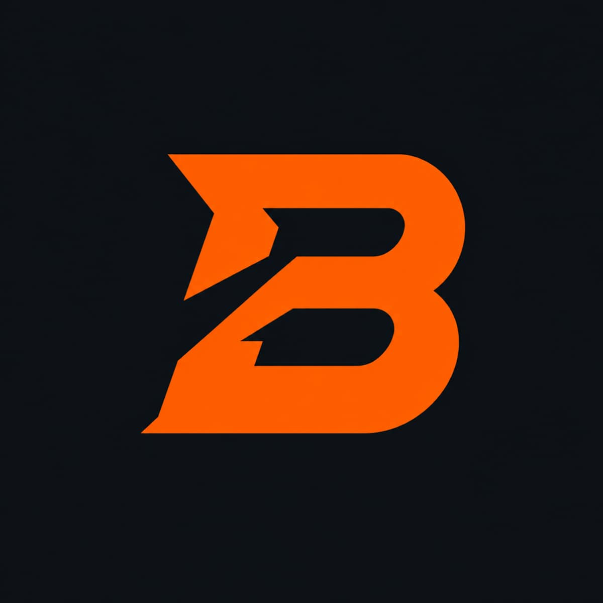 BoldLeg Premium Leggings for Men and Women