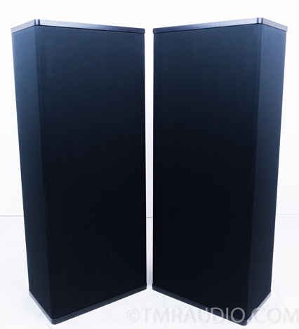 Vandersteen  2Ce Signature Speakers; Metal Stands (7279)