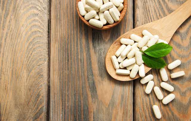 Soft abstract botanical texture