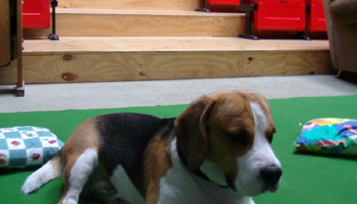 sweetsixteen kino henry