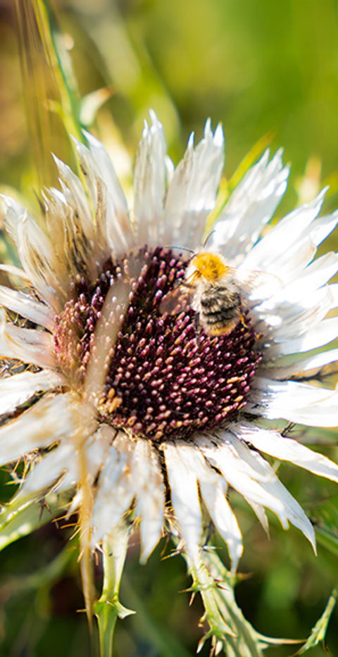 Respekt.<br> Inklusion.<br> Wertschätzung.<br>