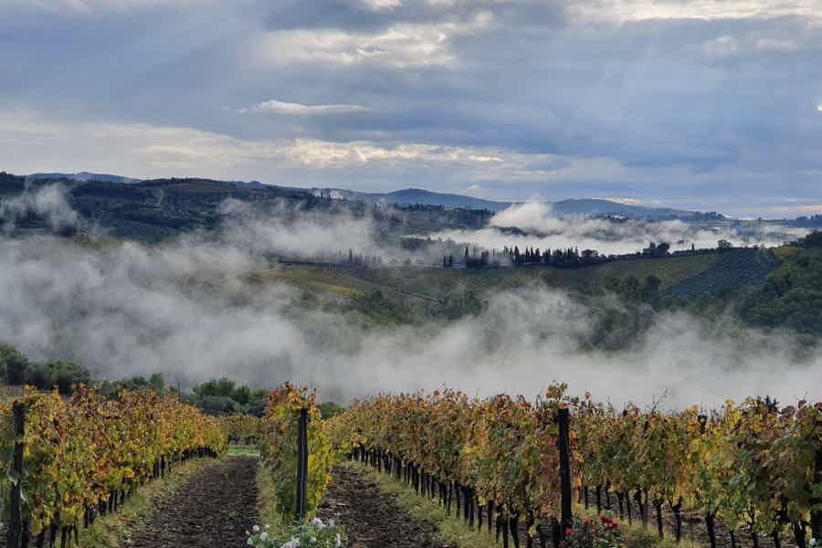 Florence: Wine Roads, Chianti Villages and San Gimignano - photo 4