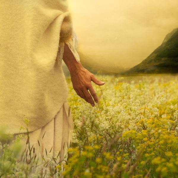 LDS art photo of Jess Christ walking through a field of lilies. 