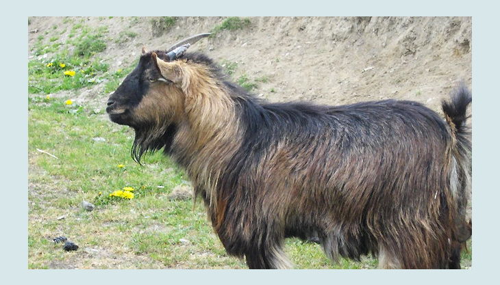 Kindergeburtstag Bauernhof Nrw Ausflugsziele Freizeitangebote