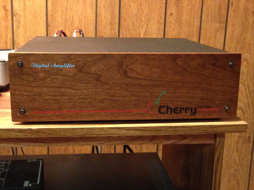 Digital Amp Co. Cherry ULTRA Stereo Amplifier DEMO High Performance Power Amp with choice of faceplates