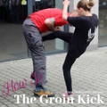 How to execute a groin kick self defense technique self protection training